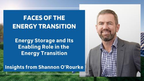 Energy Storage and Its Enabling Role in the Energy Transition